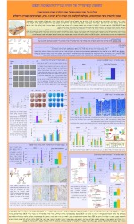 amirim-2011-2012-michal-thumbnail.jpg