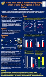 amirim-2011-2012-ron-thumbnail.jpg