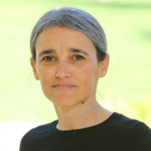 yuval-gottlieb-dror.jpg