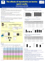 amirim-2019-2020-paz-thumbnail.jpg