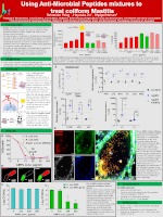 amirim-2019-2020-peleg-thumbnail.jpg