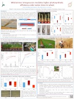 amirim-2019-2020-yoav-thumbnail.jpg