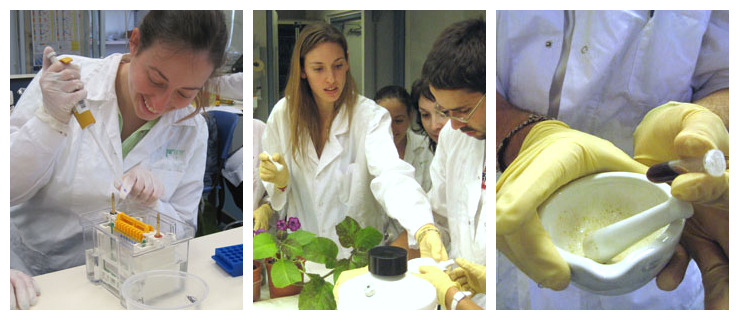 biotech-labs.jpg