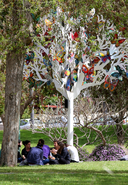 landscape-architecture-butterflies-tree.jpg