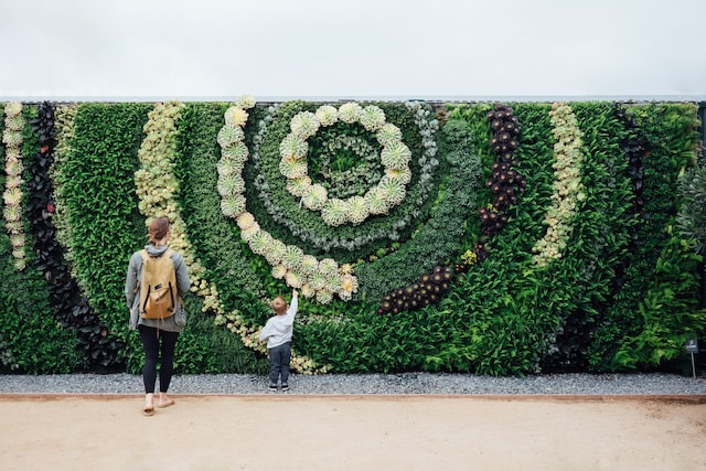 landscape-architecture-green-wall.jpg