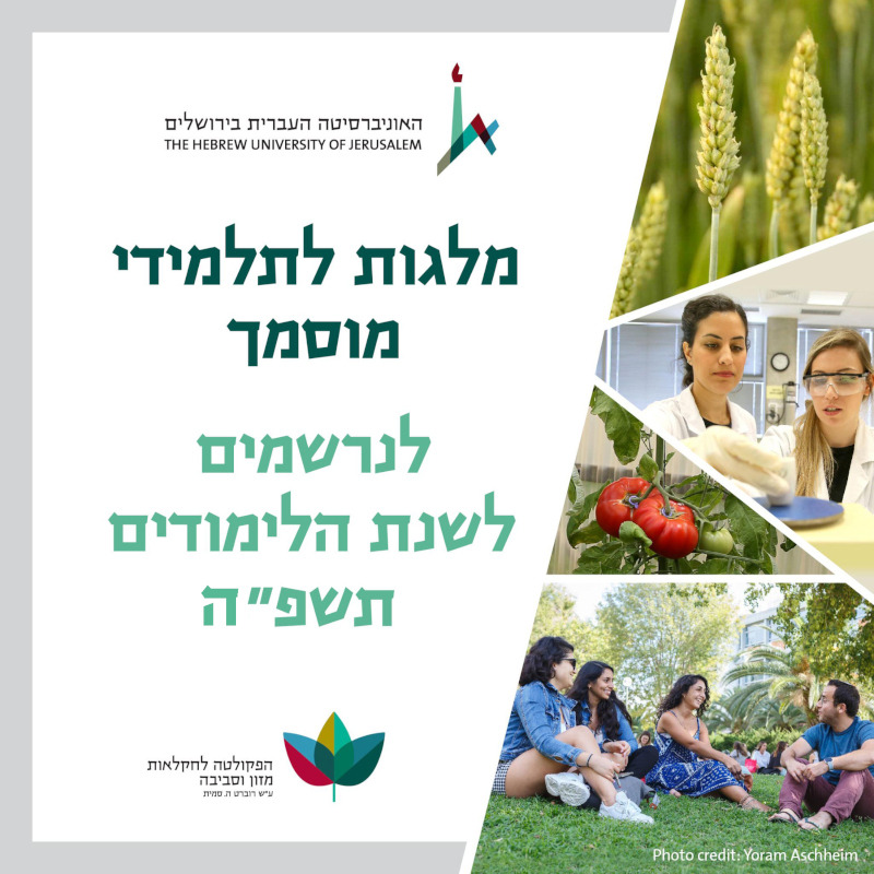 milgot-msc-2024-banner.jpg