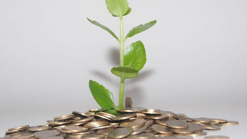 https://study.agri.huji.ac.il/bsc/plant-science-and-economics