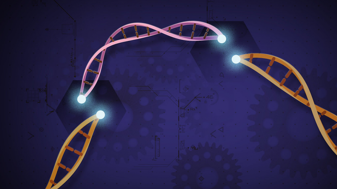genetics-and-breeding-icon.png