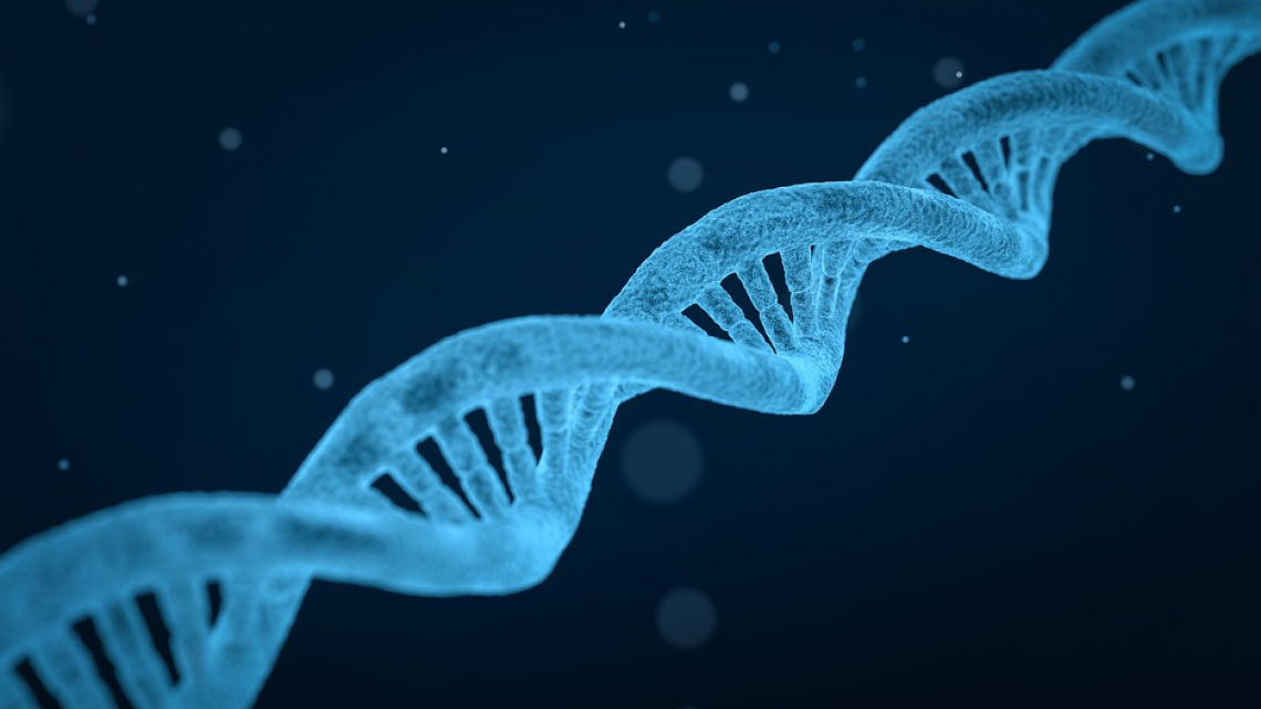genomics-and-bioinformatics-icon.png