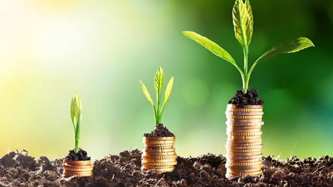 https://study.agri.huji.ac.il/bsc/soilwater-economics