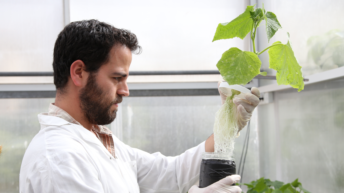 plant-sciences-in-agriculture-icon.png