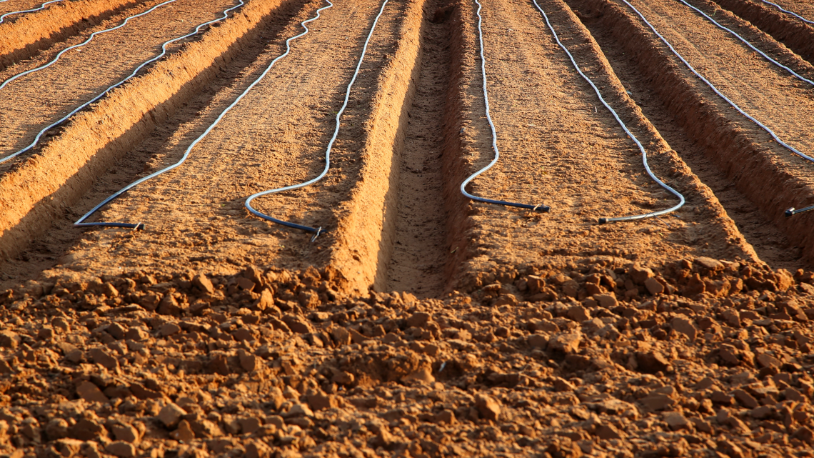 soil-and-water-sciences-icon.png