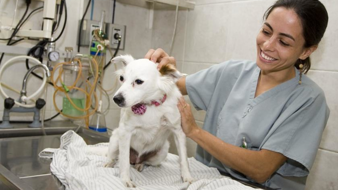 veterinary-public-health-icon.png